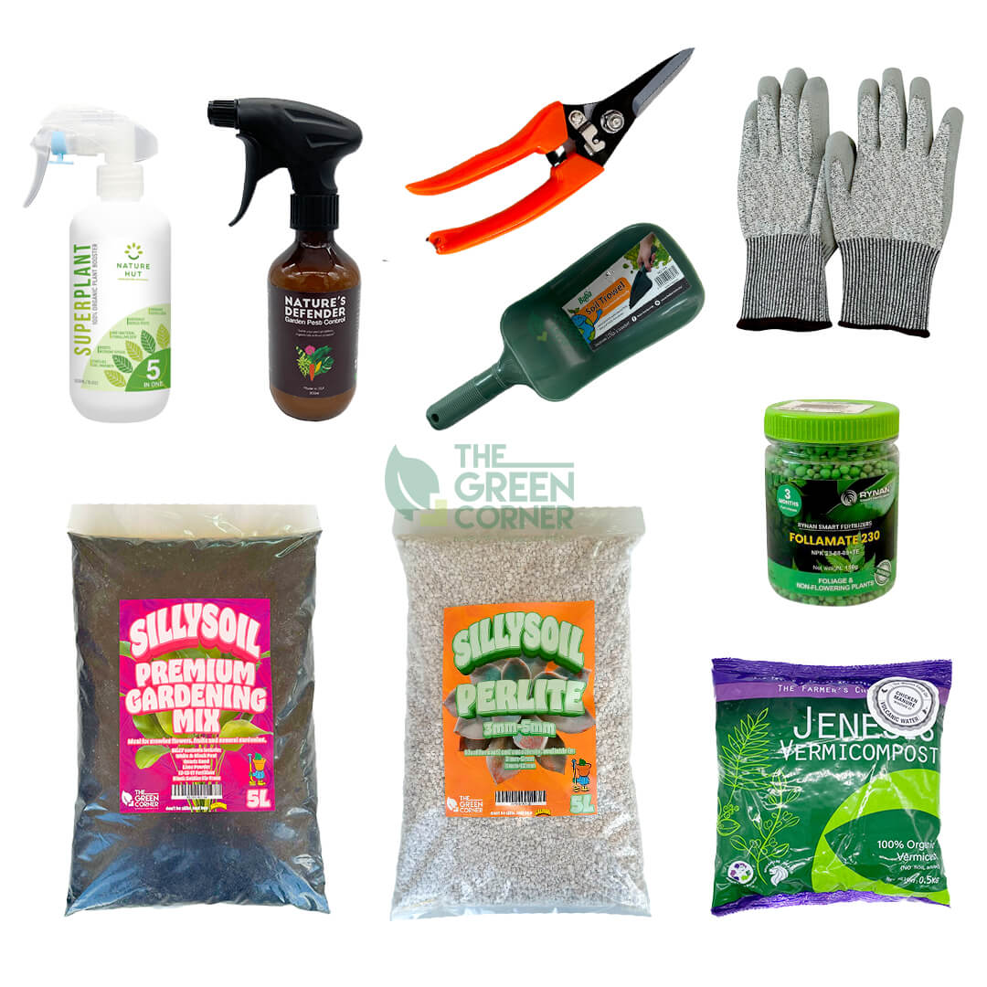 Gardening Starter Kit