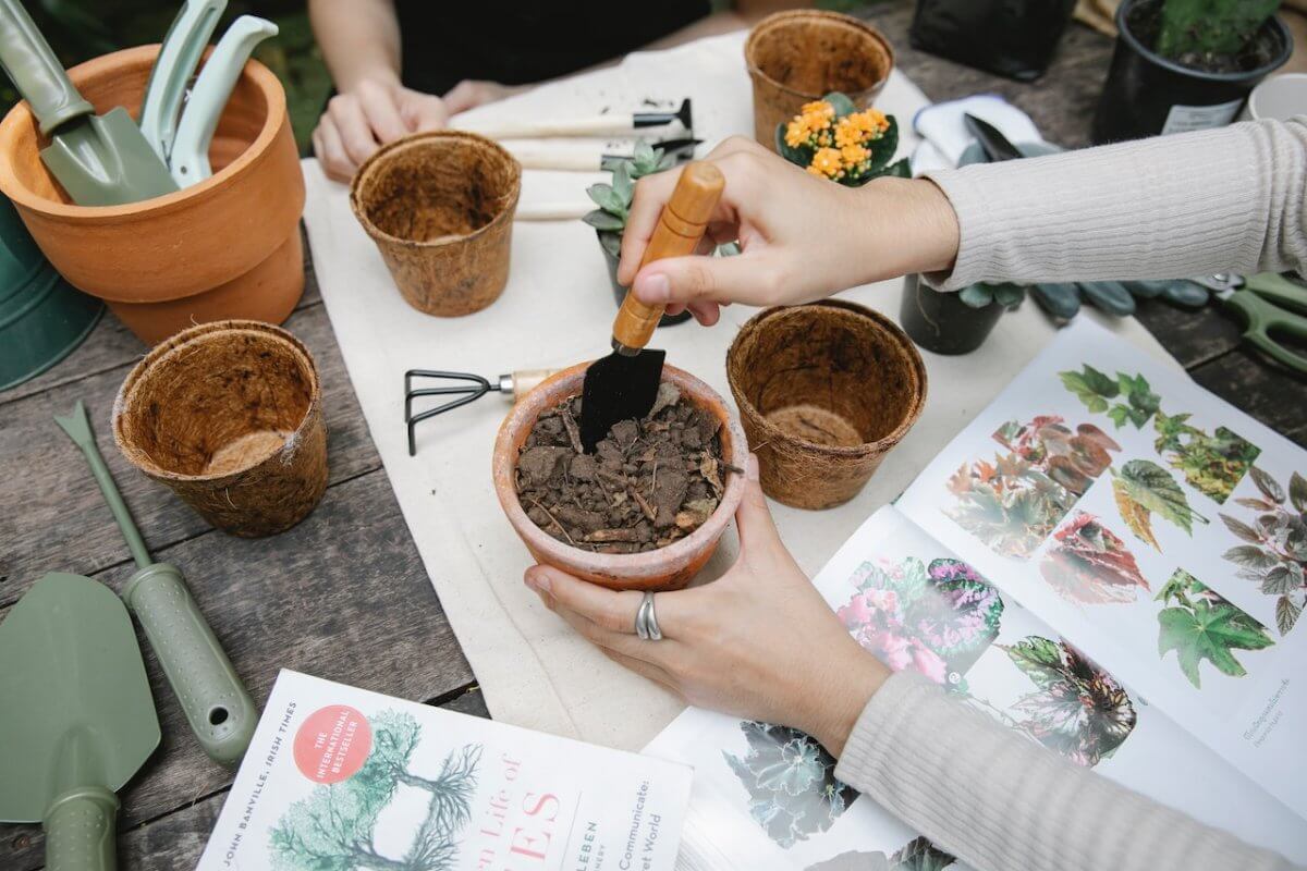 Best Gardening Tool in Singapore