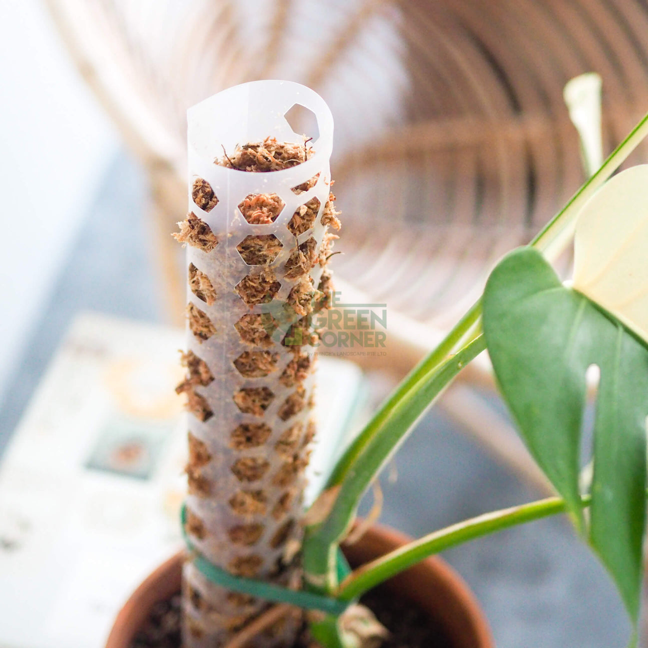 Our Gentle Garden Garden Pole 2.0