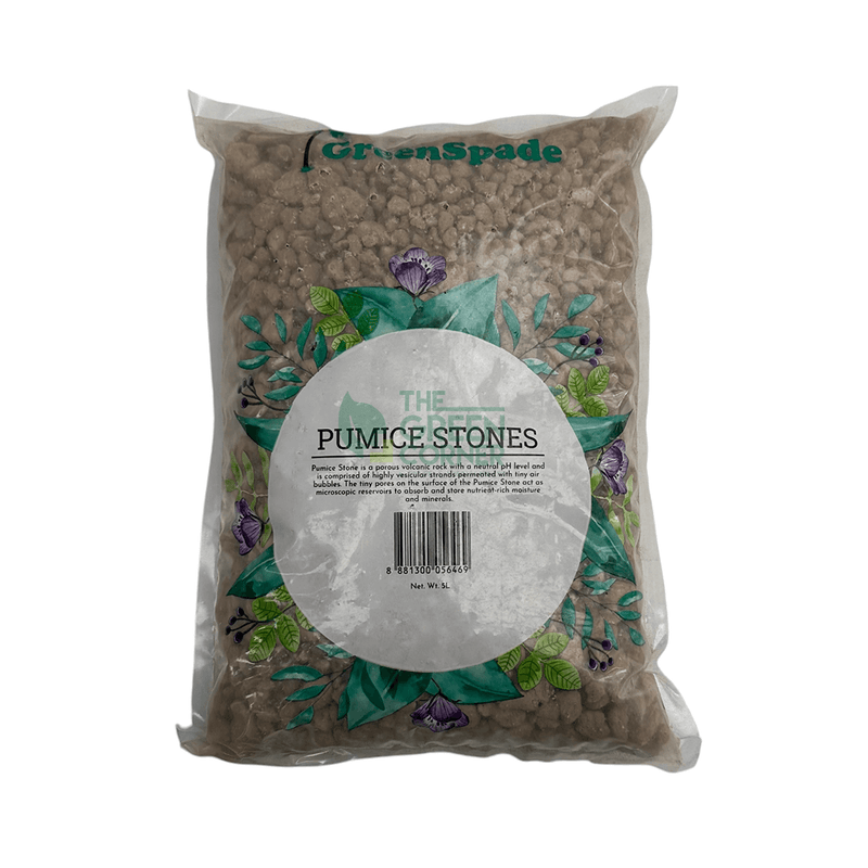Potting Mix vs. Garden Soil:  Why Your Singaporean Plants Need the Right Mix?