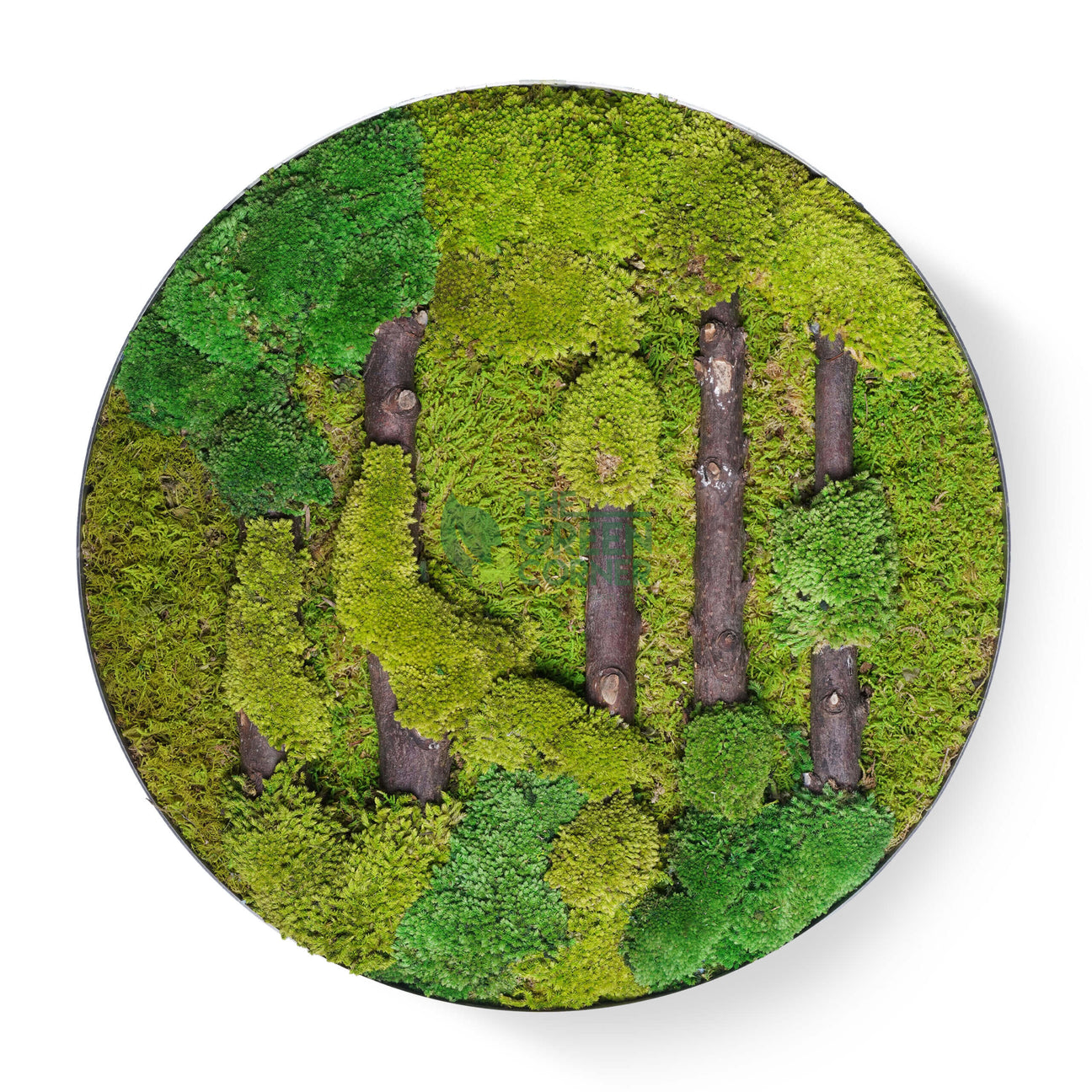 Verdant Woods