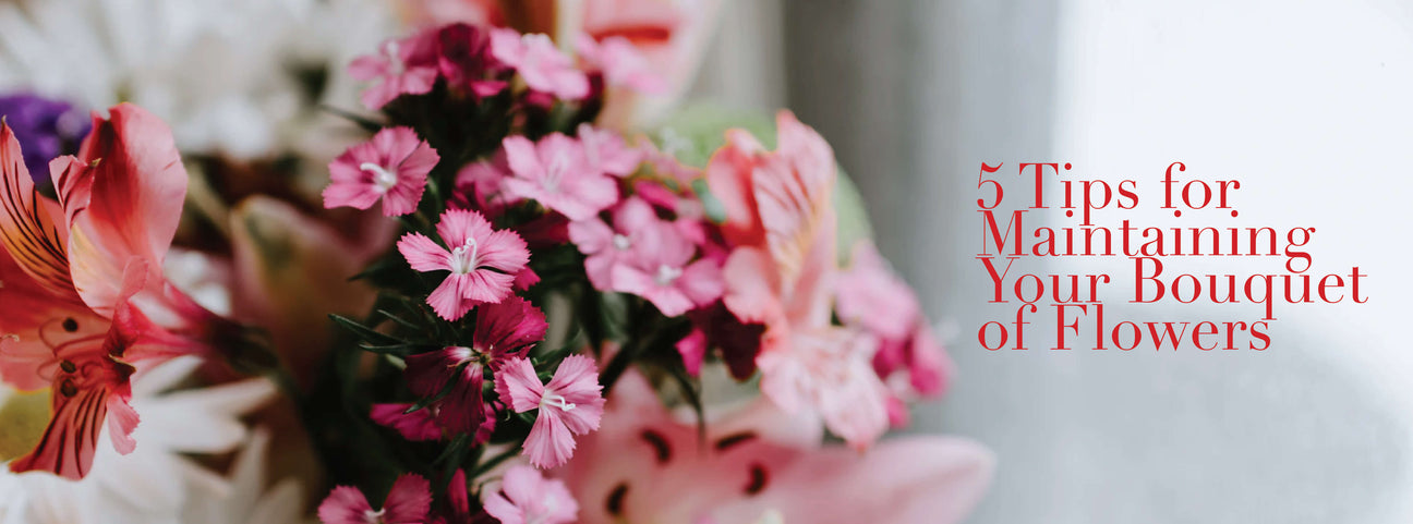 5 Tips for Maintaining Your Bouquet of Flowers