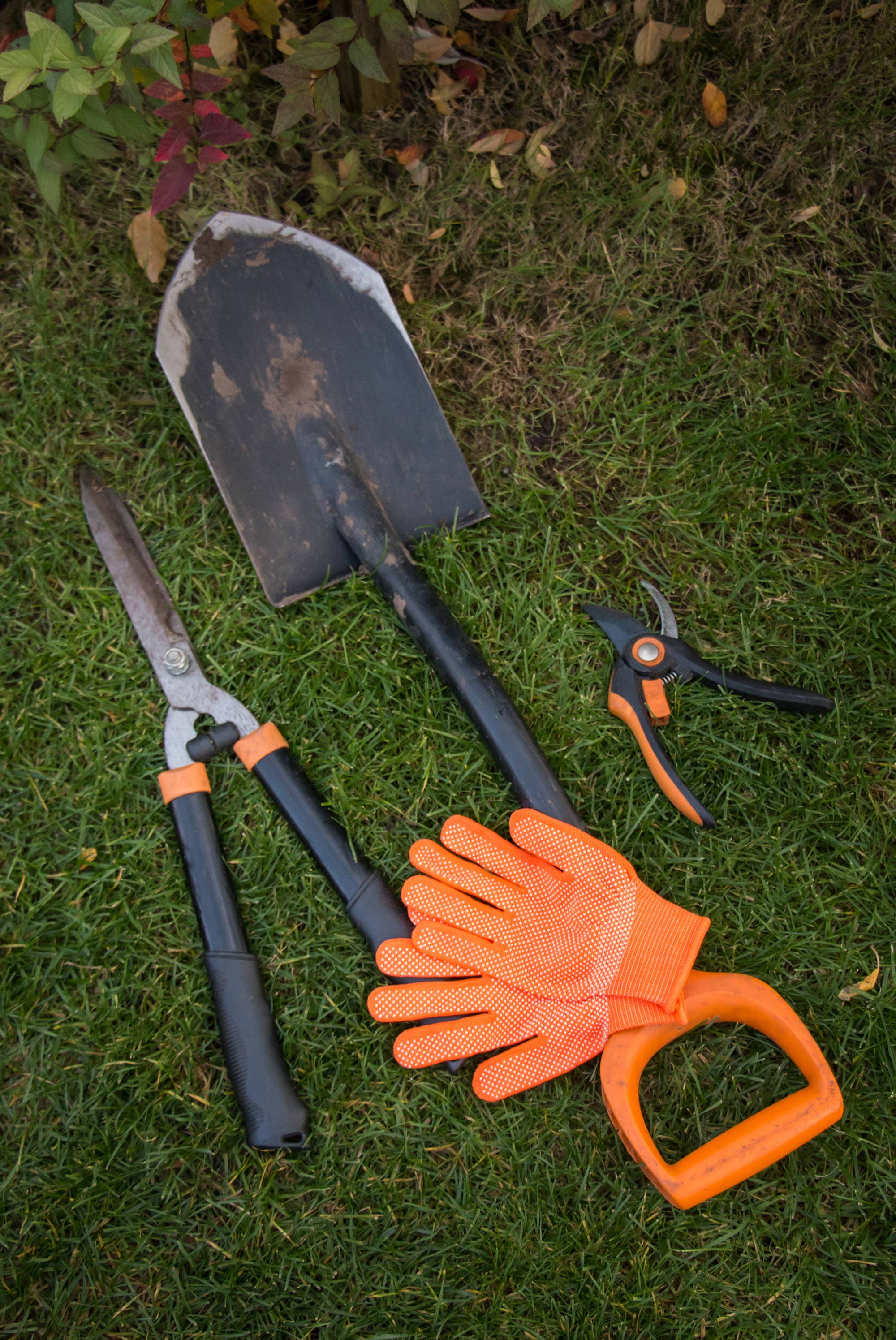 Gardening Essentials