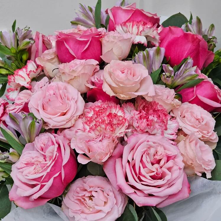 Royal Roses