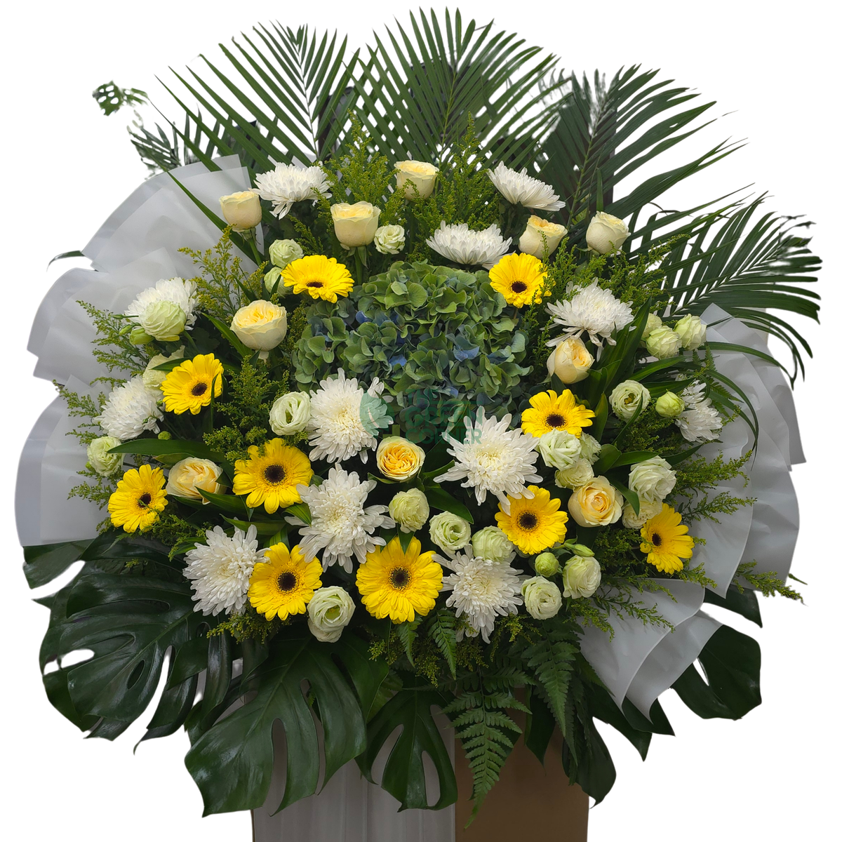 Close-up of the Aura de Fleurs condolence wreath showing white chrysanthemums, yellow gerbera and green hydrangea