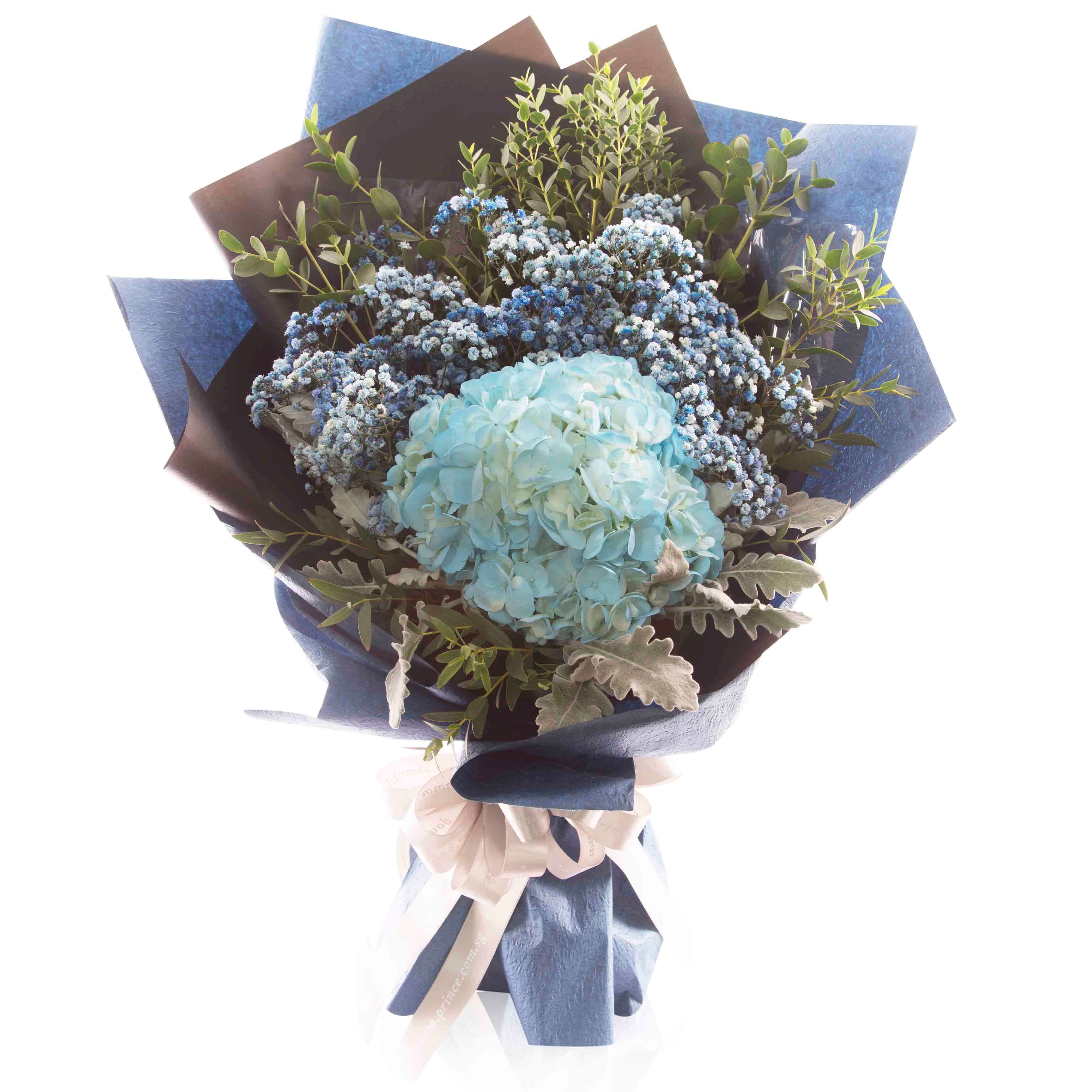 Lovely Hydrangeas Bouquets in Singapore - Blue and Beautiful– Prince Flower Shop