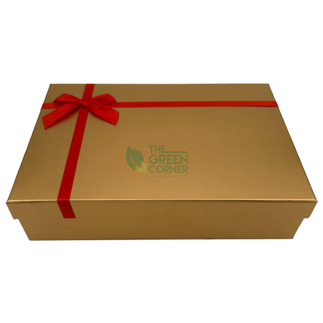 Christmas Gift Box (Gold)