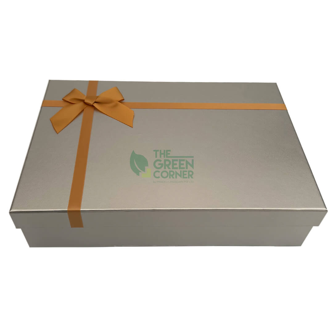 Christmas Gift Box (Silver)