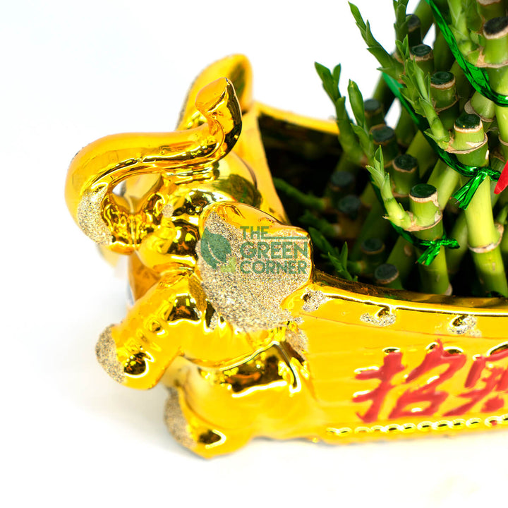 Fortune Bamboo in Golden Animal Vase