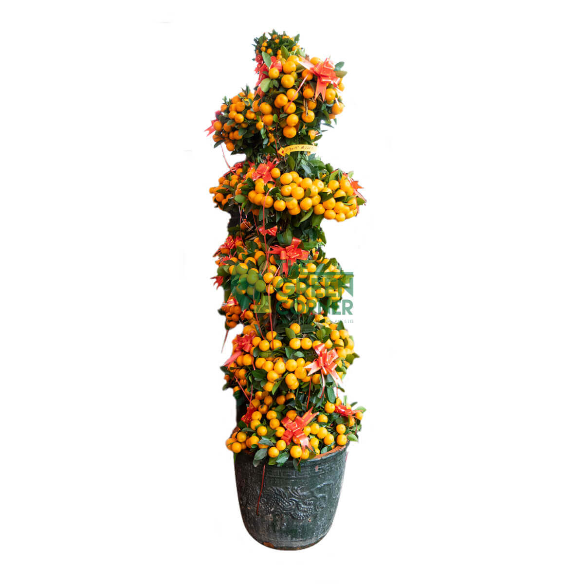 Four Season Kumquat Multi-Tier 3/5/8 Layers