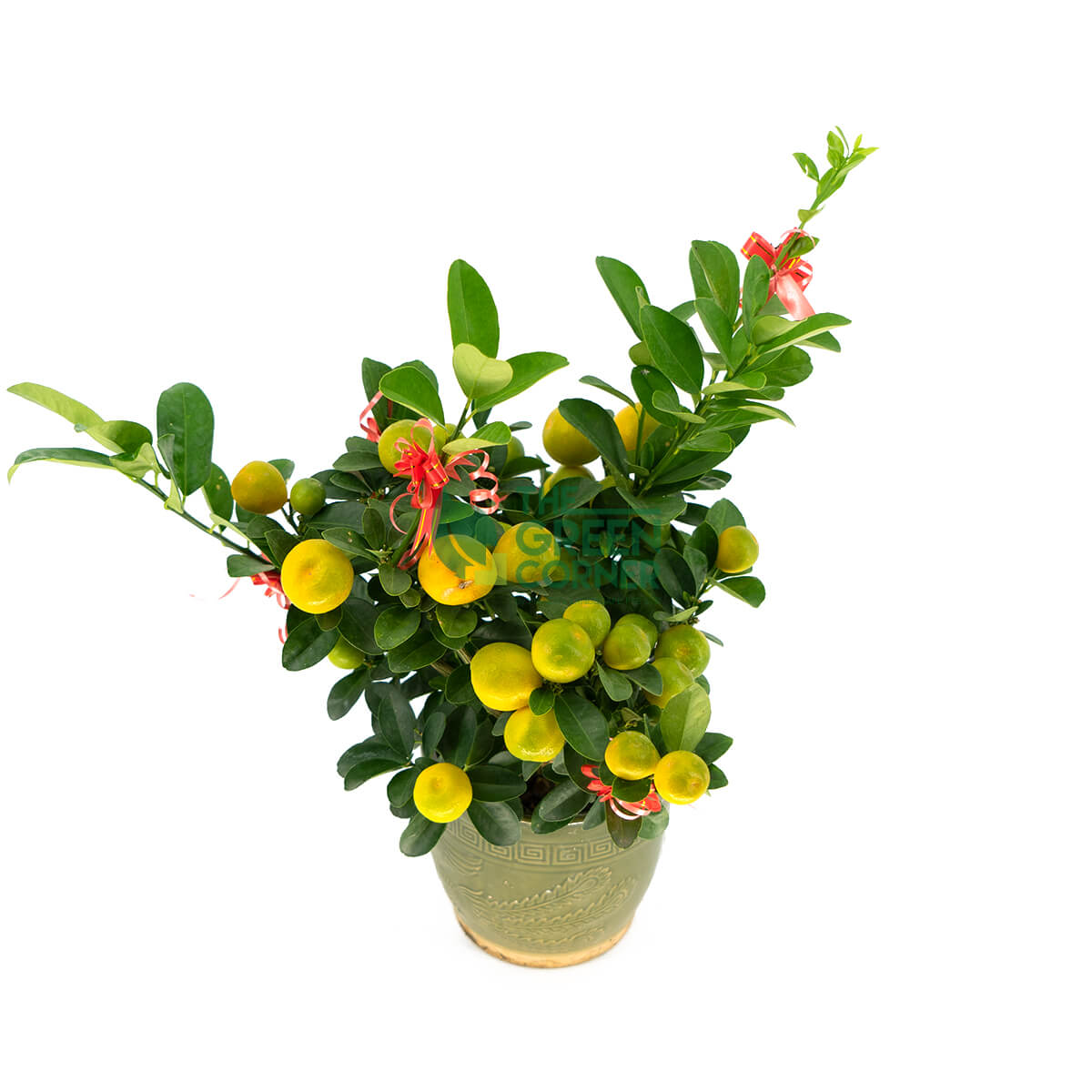 CNY Flower Decoration