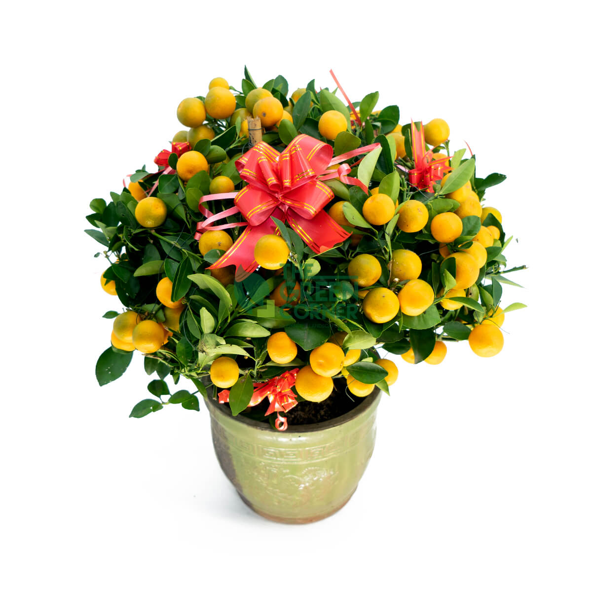 Chinese New Year Flowers Singapore