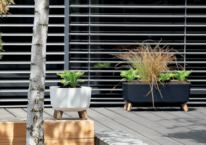 Gracia Case Planter with Legs 580x240x235mm Anthracite_3