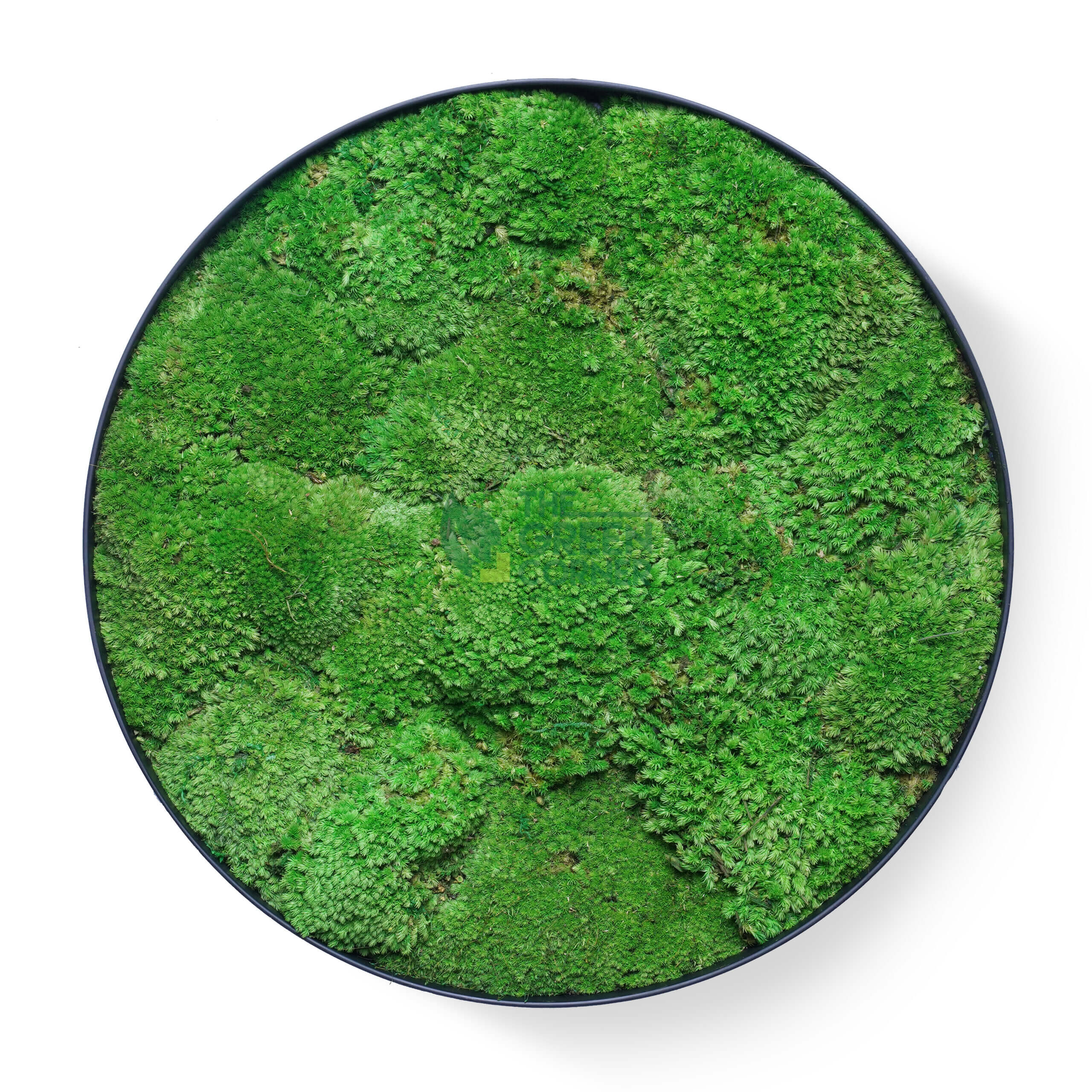 Greenfields