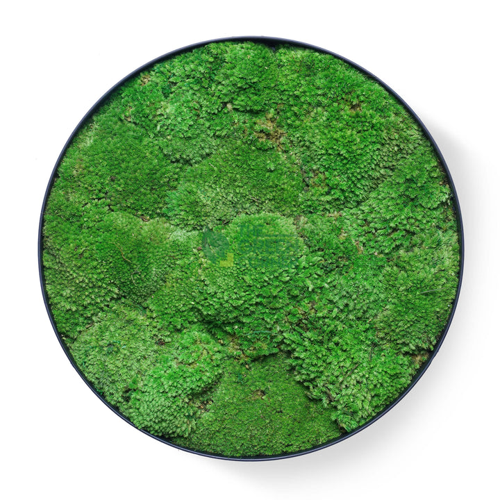 Greenfields