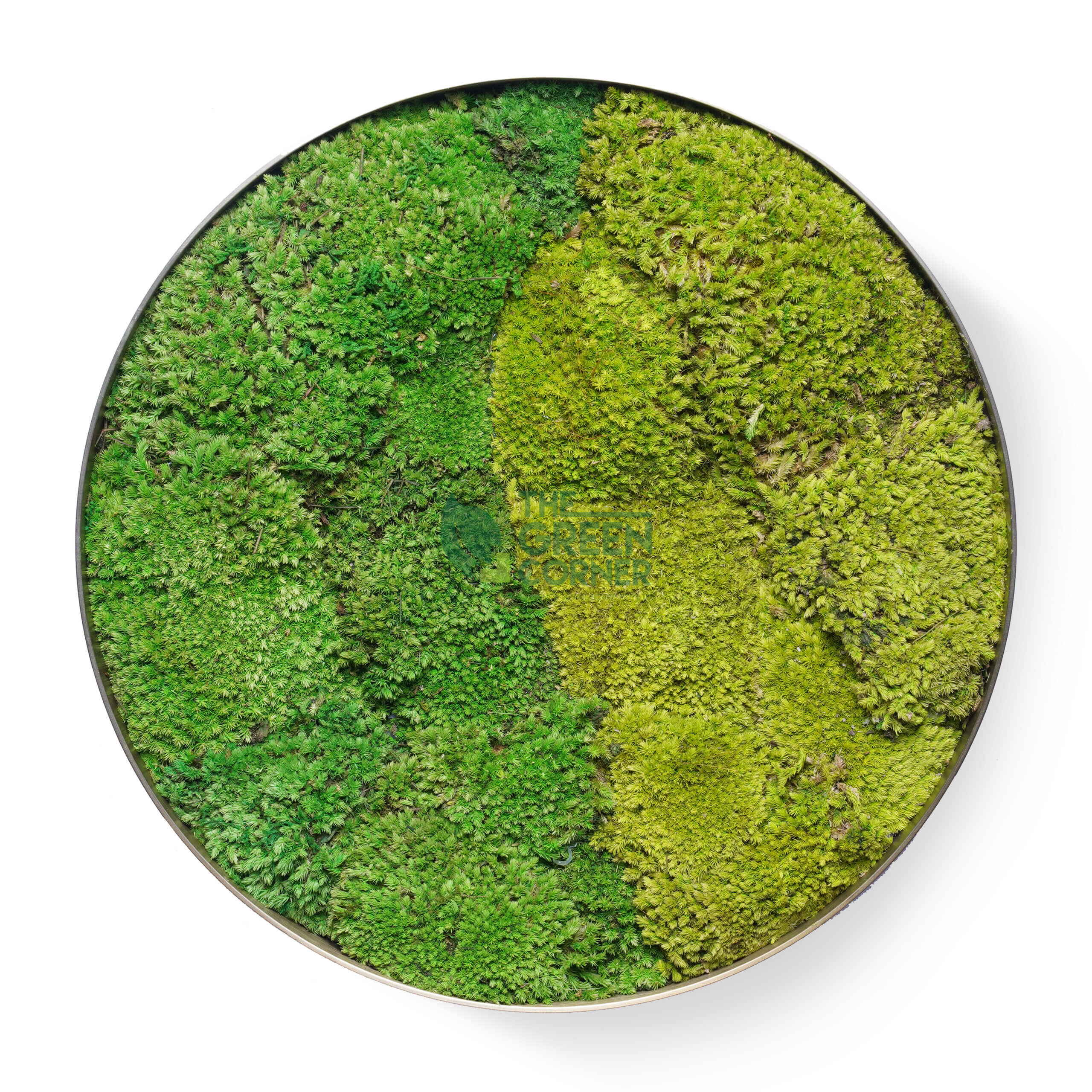 Greenfields