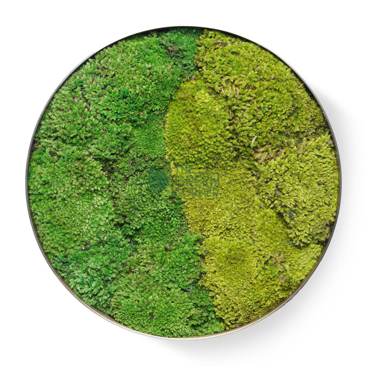 Greenfields