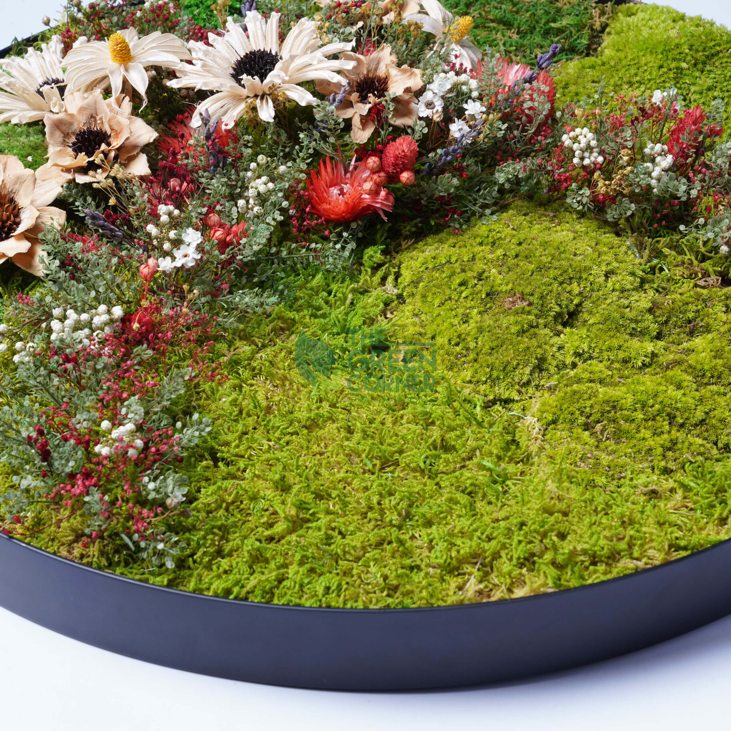 Hillside Blooms