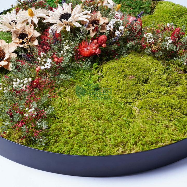 Hillside Blooms