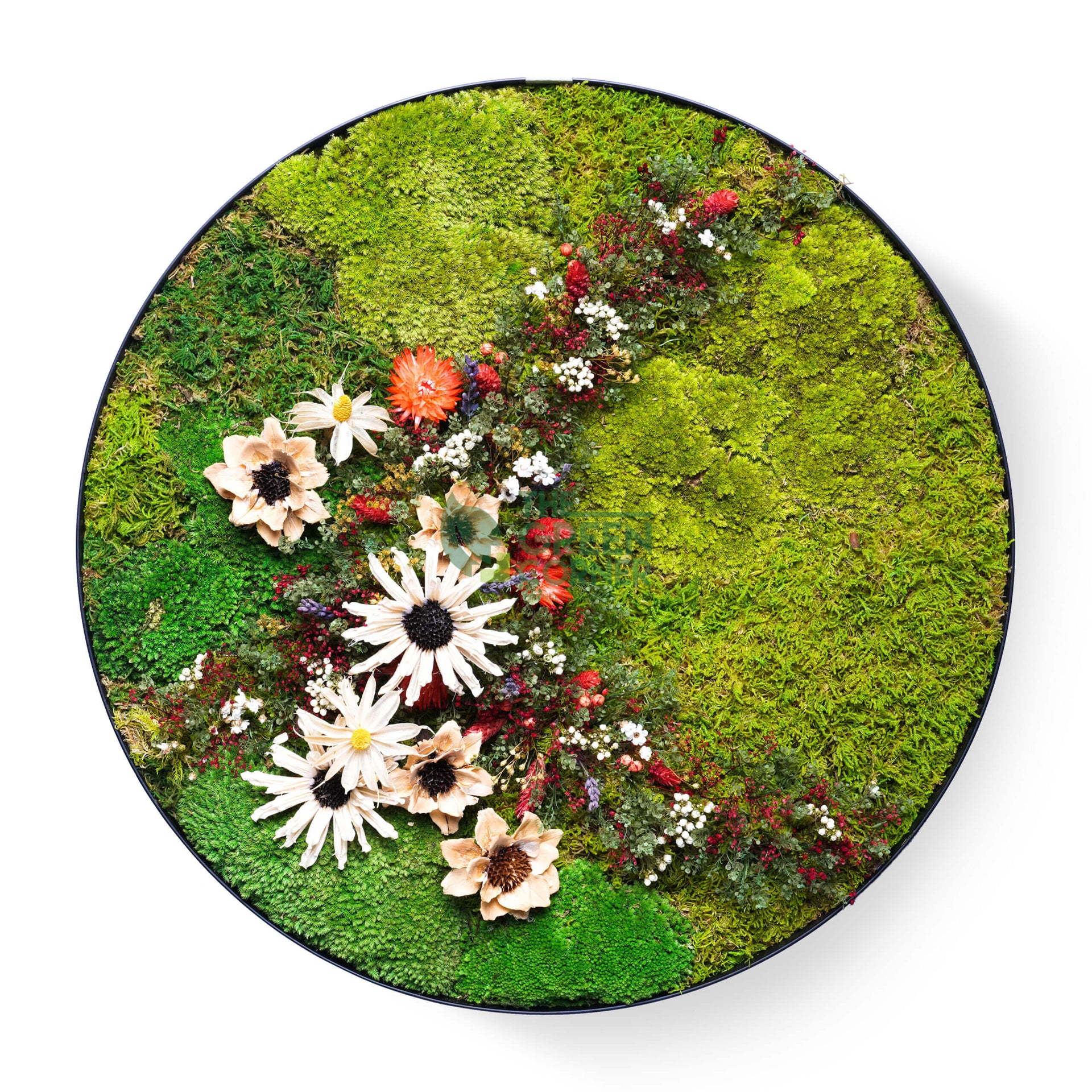 Hillside Blooms