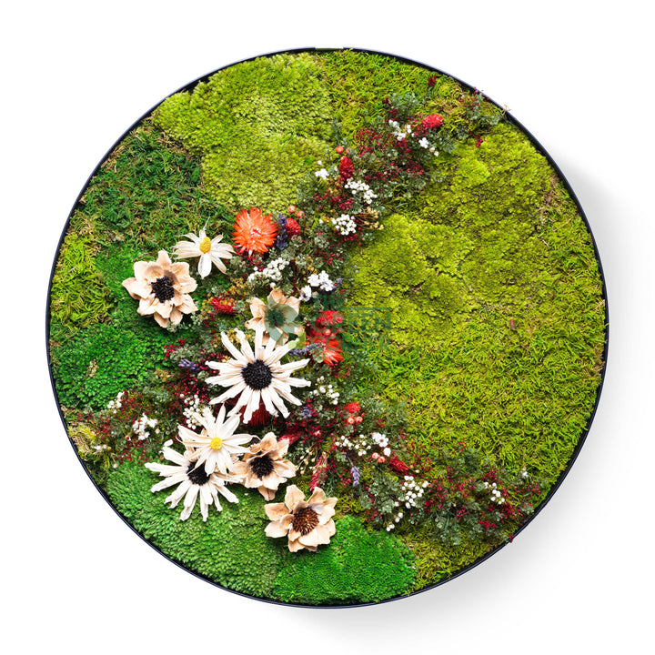Hillside Blooms