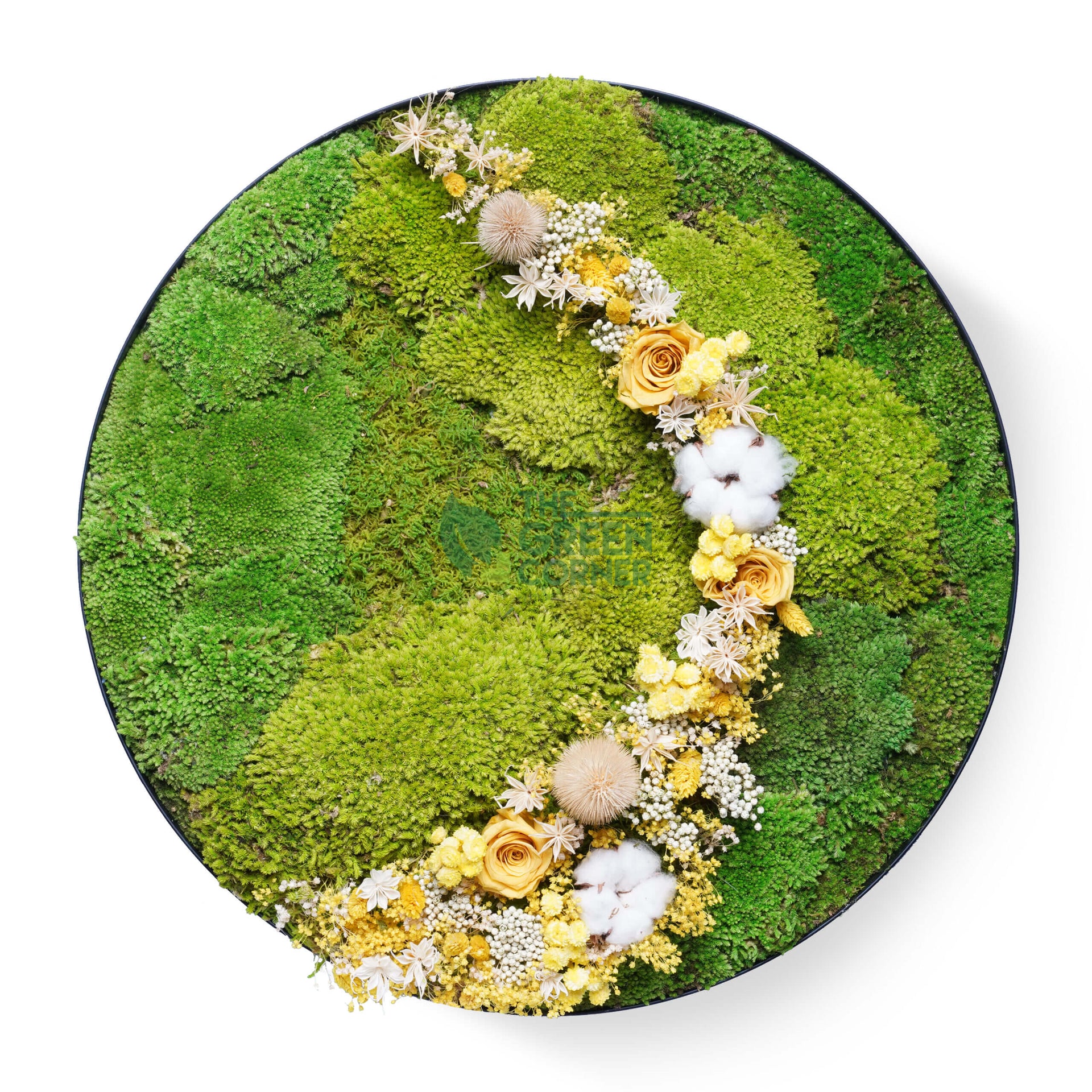 Hillside Blooms