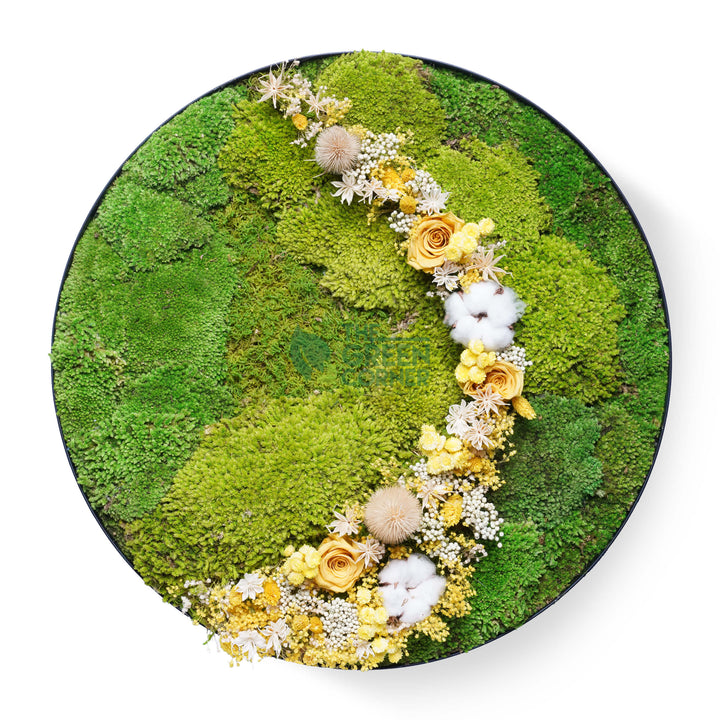 Hillside Blooms