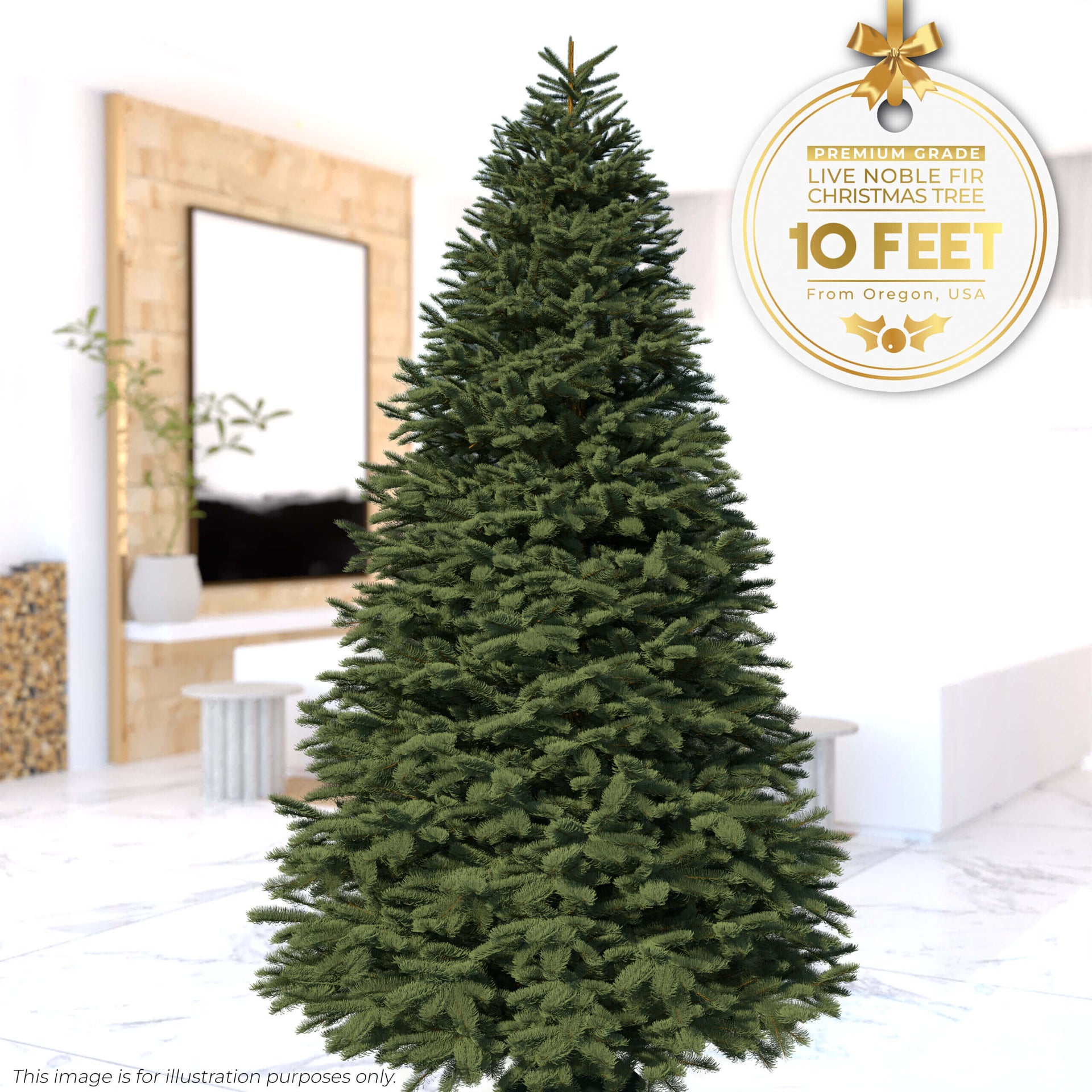 10ft Noble Fir - Premium Grade Live Christmas Trees from USA