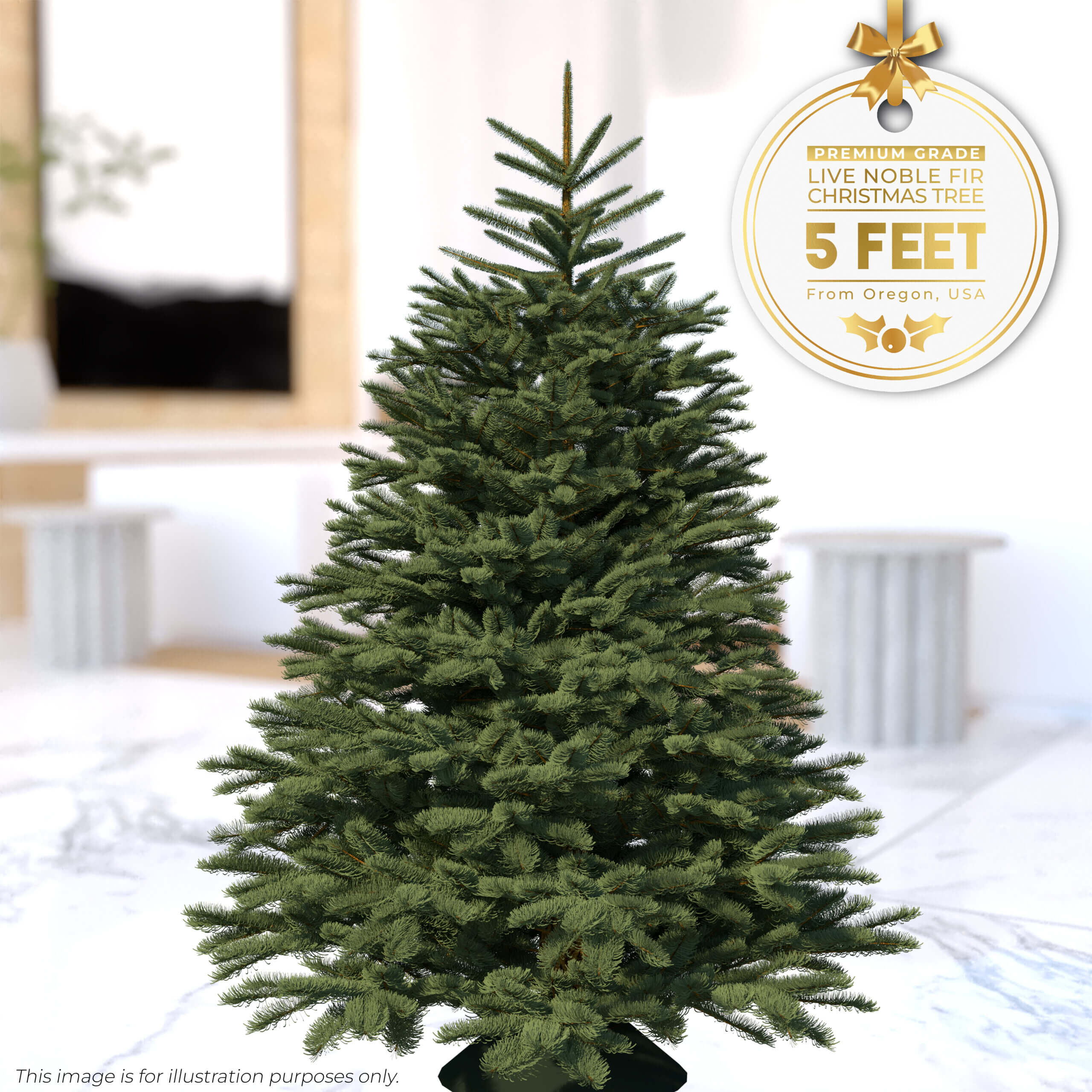 5ft Christmas Tree