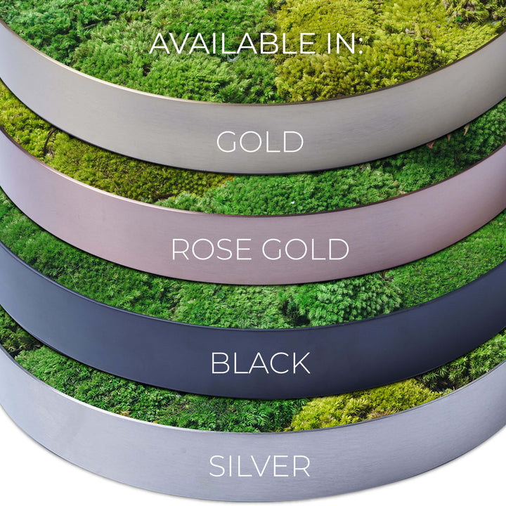 Moss Frames Colours