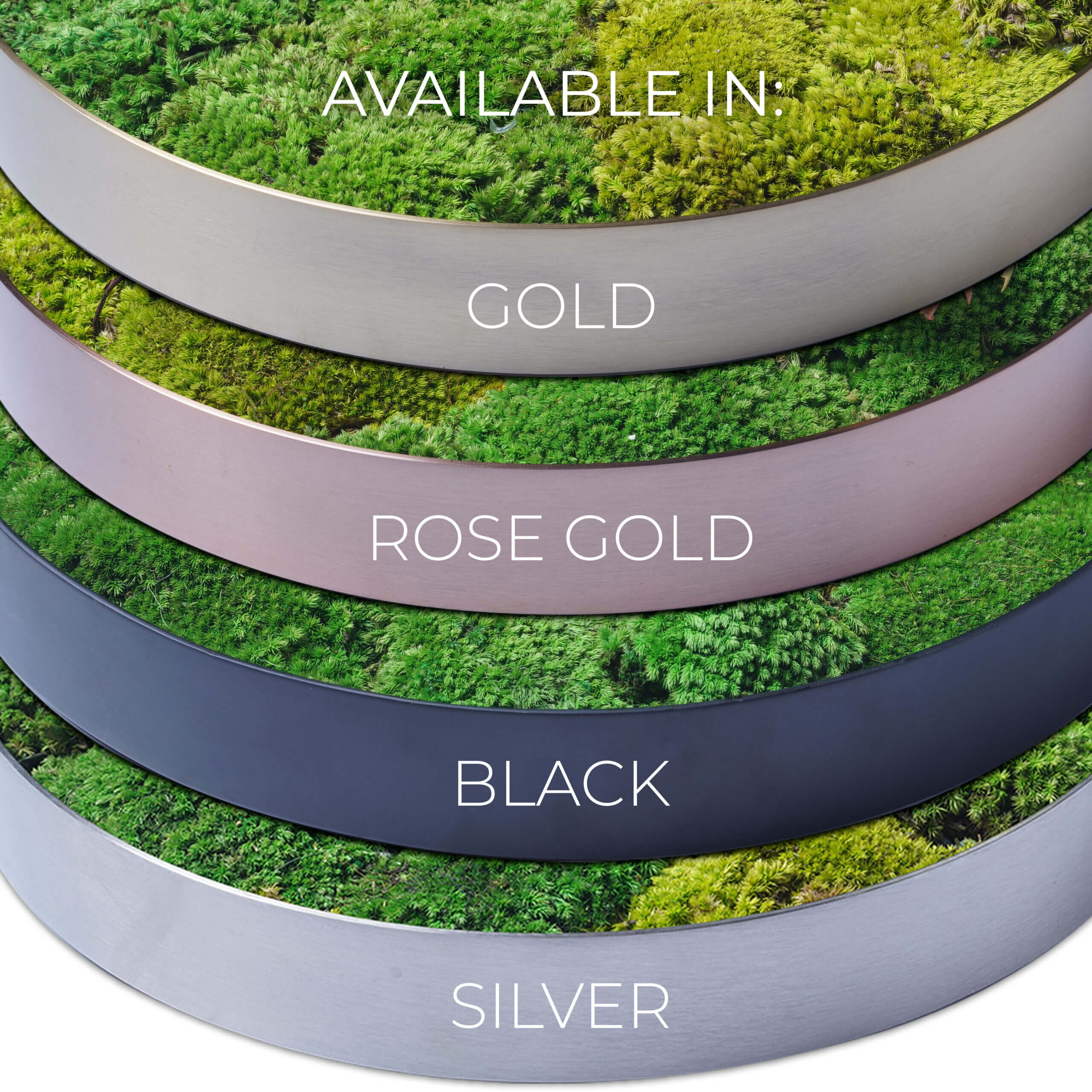Moss Frames Colours