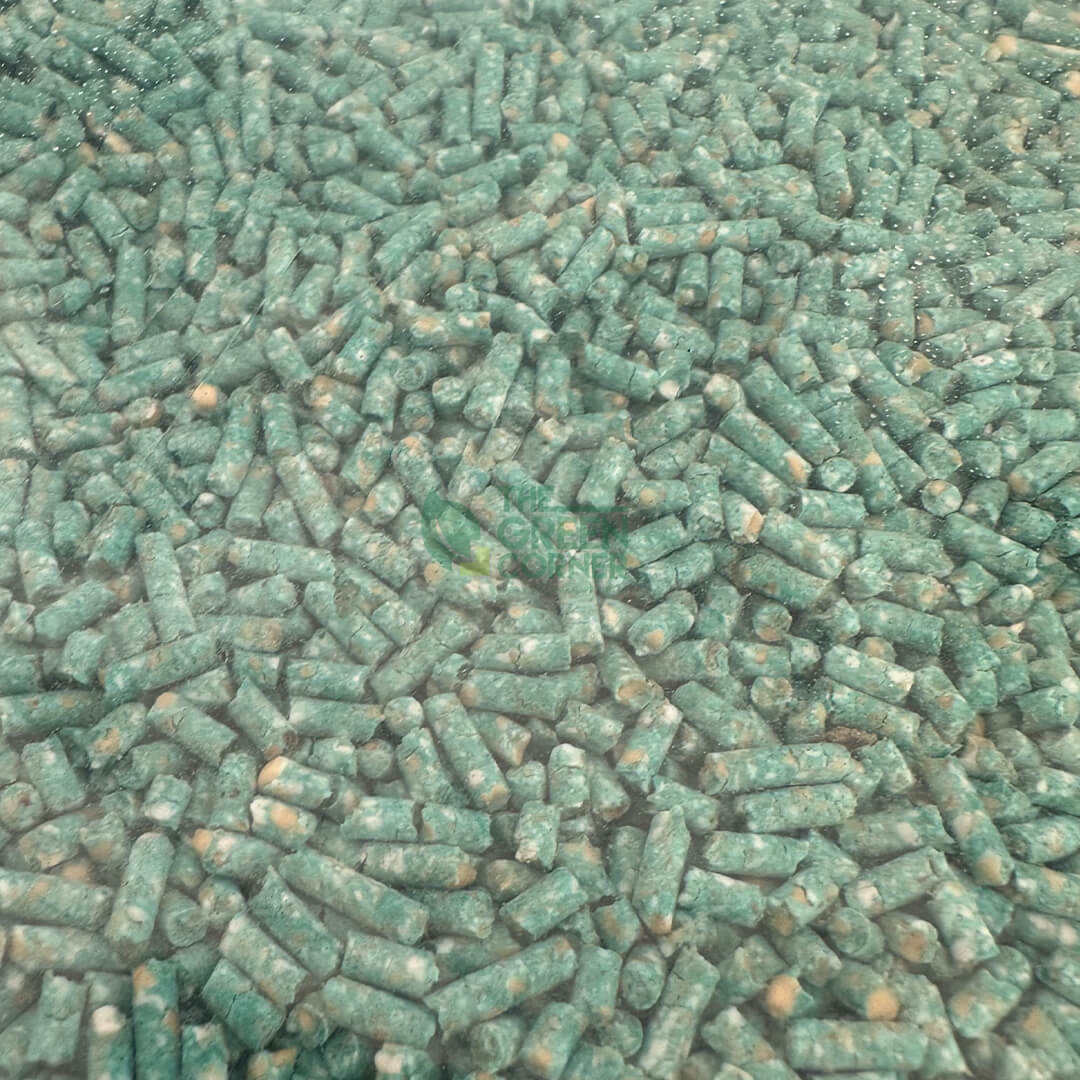 Snail Pallet