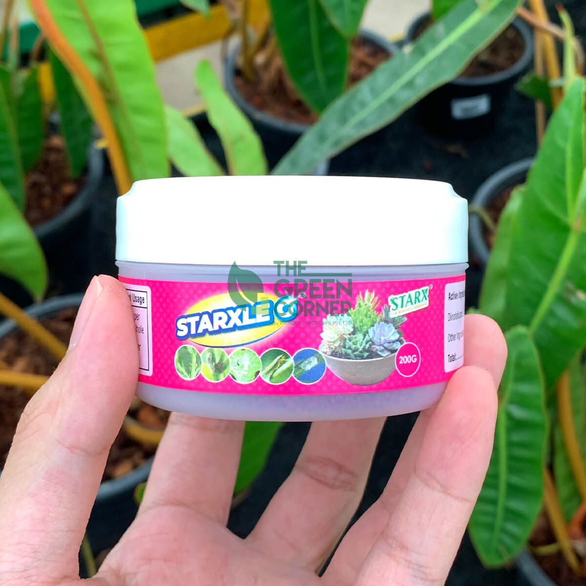 STARX Starxle G - Systemic Insecticide