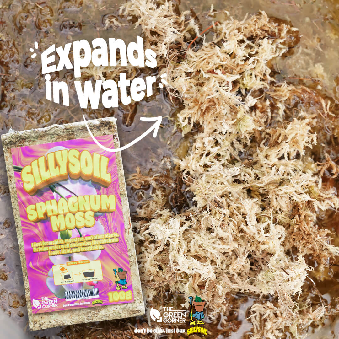 SpagnumMoss