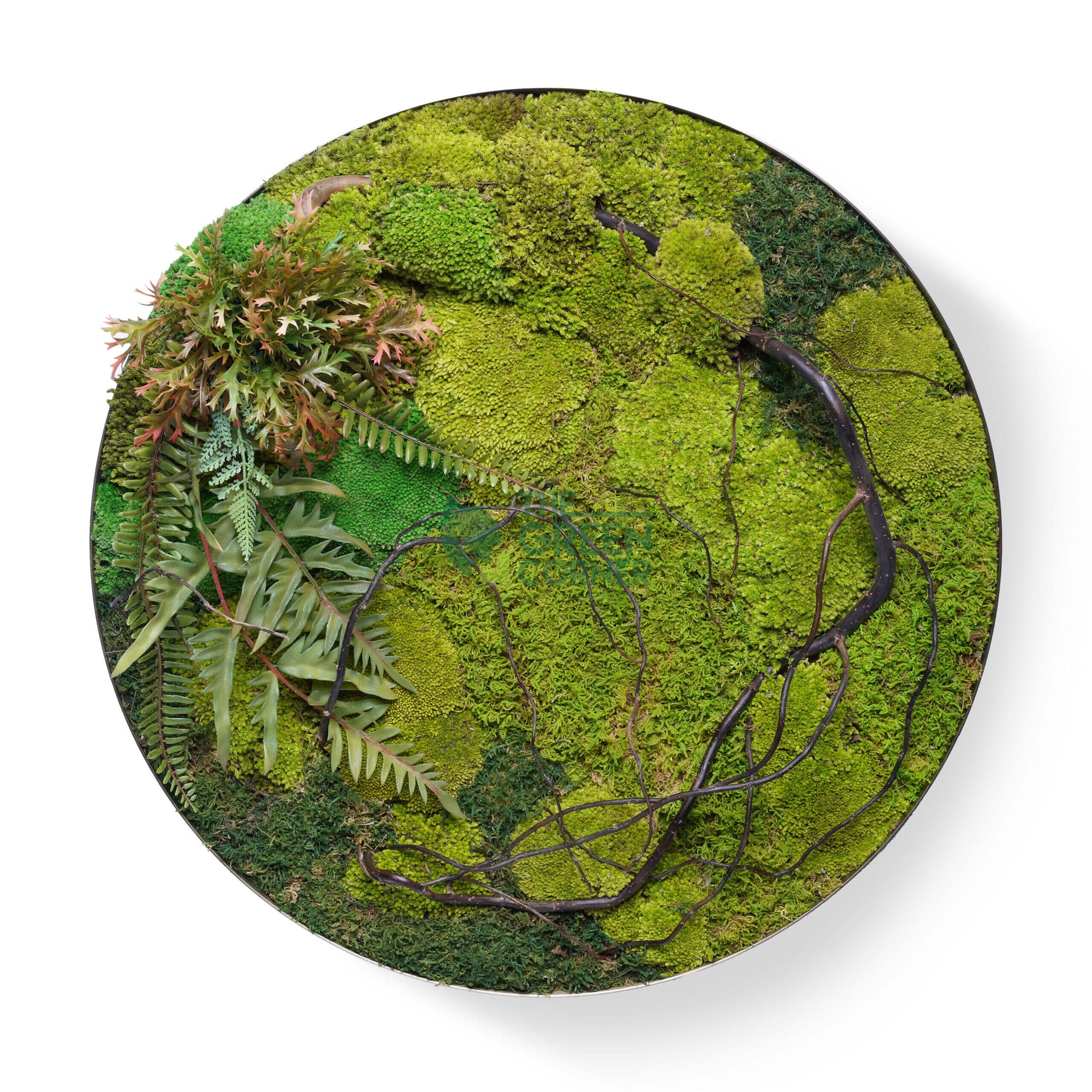 Tangled Thicket Moss Frame | Secret Garden Collection