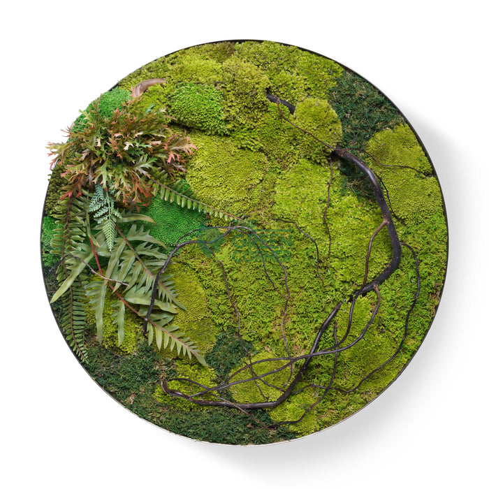 Tangled Thicket Moss Frame | Secret Garden Collection