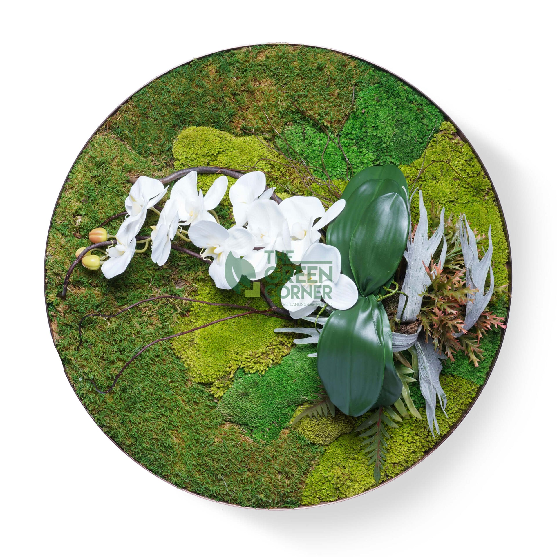 Tangled Thicket Moss Frame | Secret Garden Collection