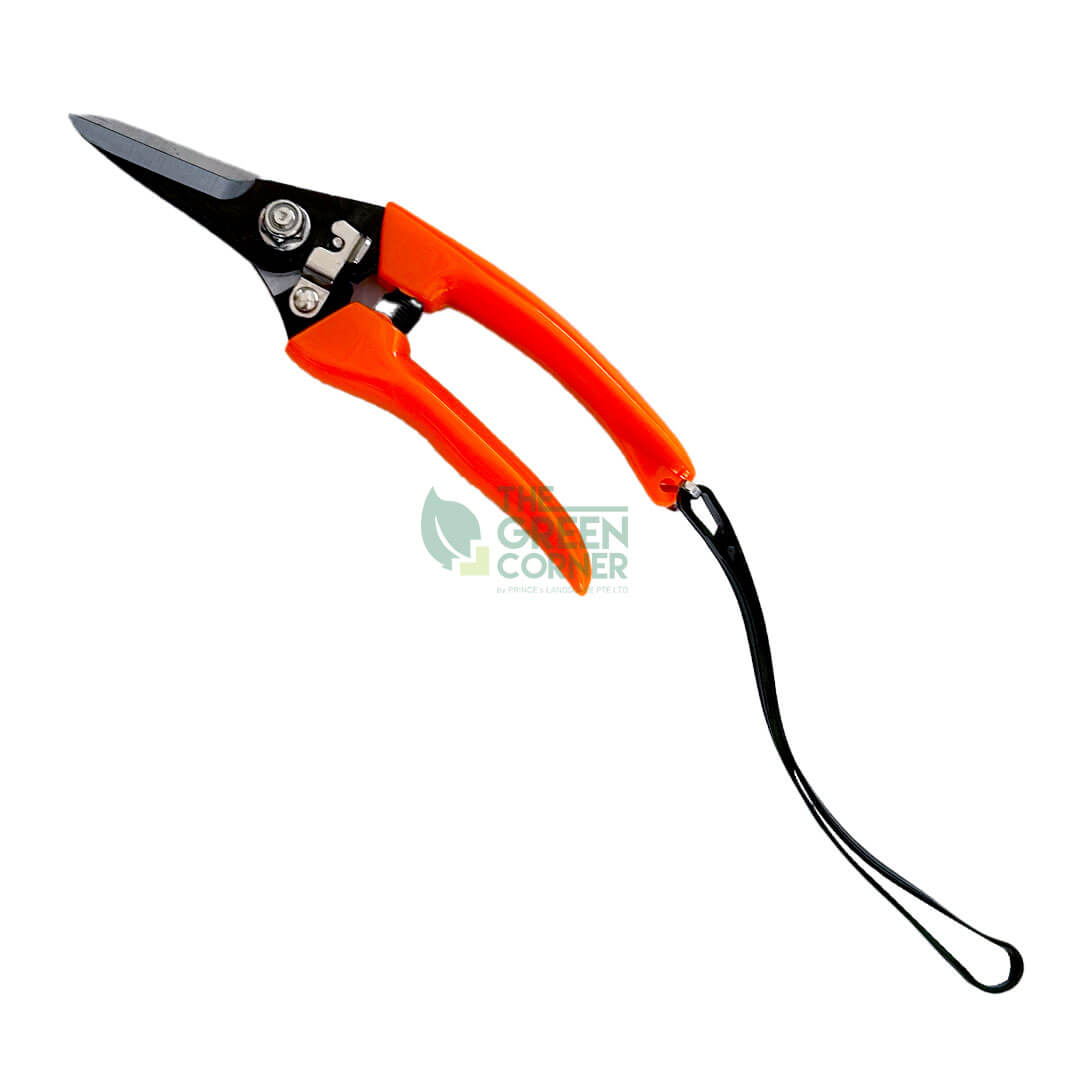 Shears