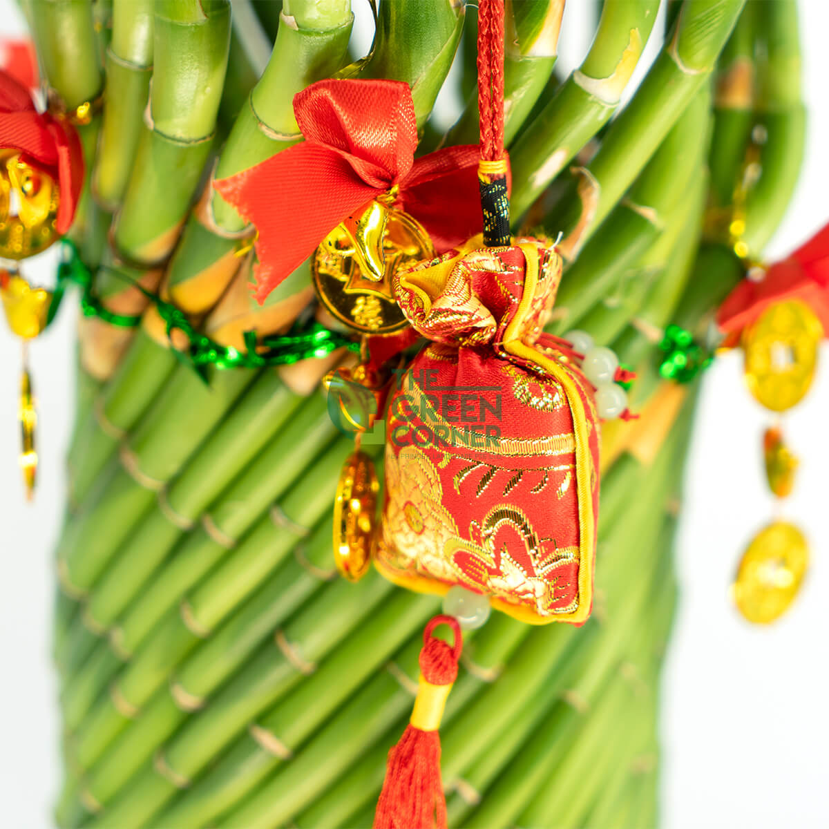 Twisted Lucky Fortune Bamboo in a White Vase