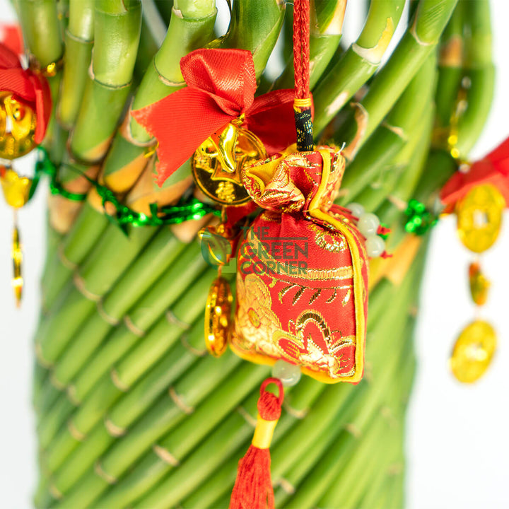 Twisted Lucky Fortune Bamboo in a White Vase