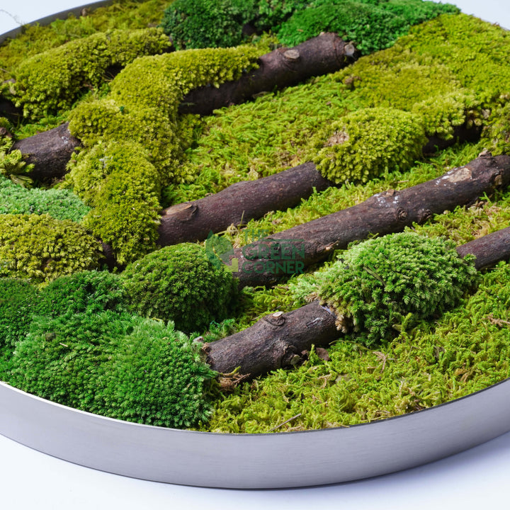 Verdant Woods