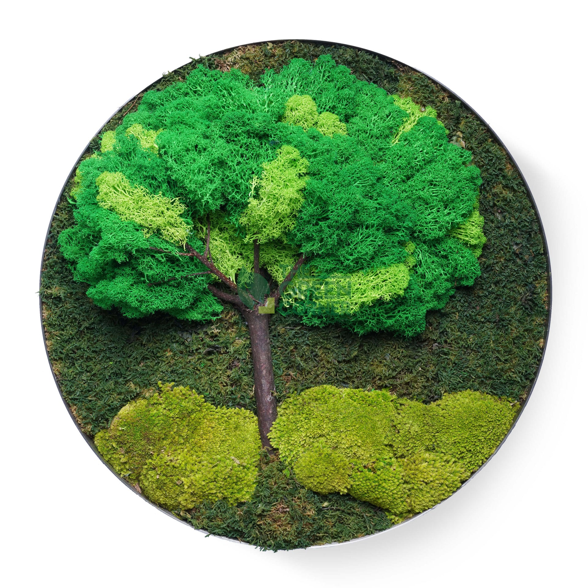 Verdant Woods