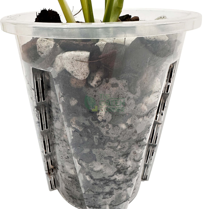 Anti Spiral Transparent Pots