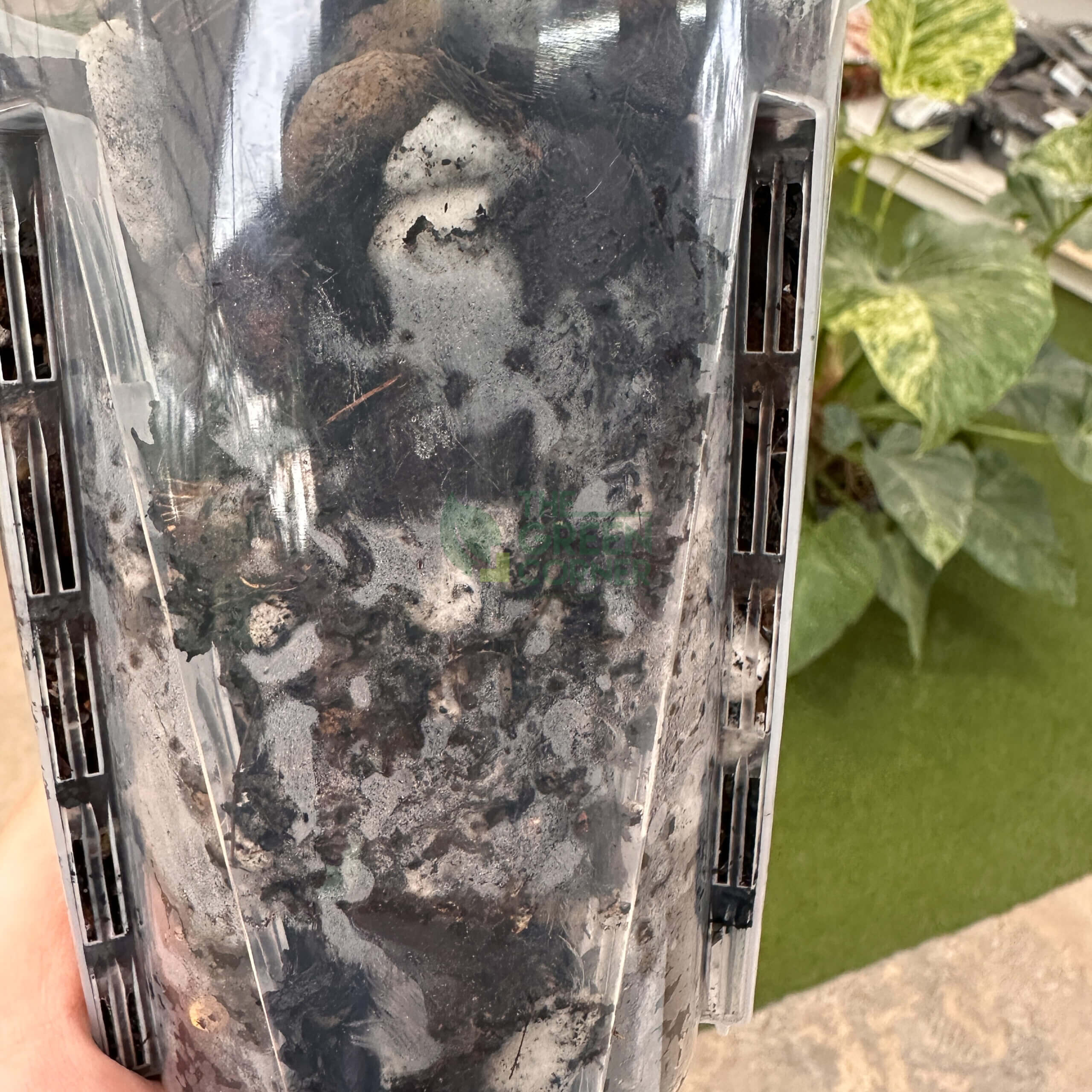 Anti Spiral Transparent Pots