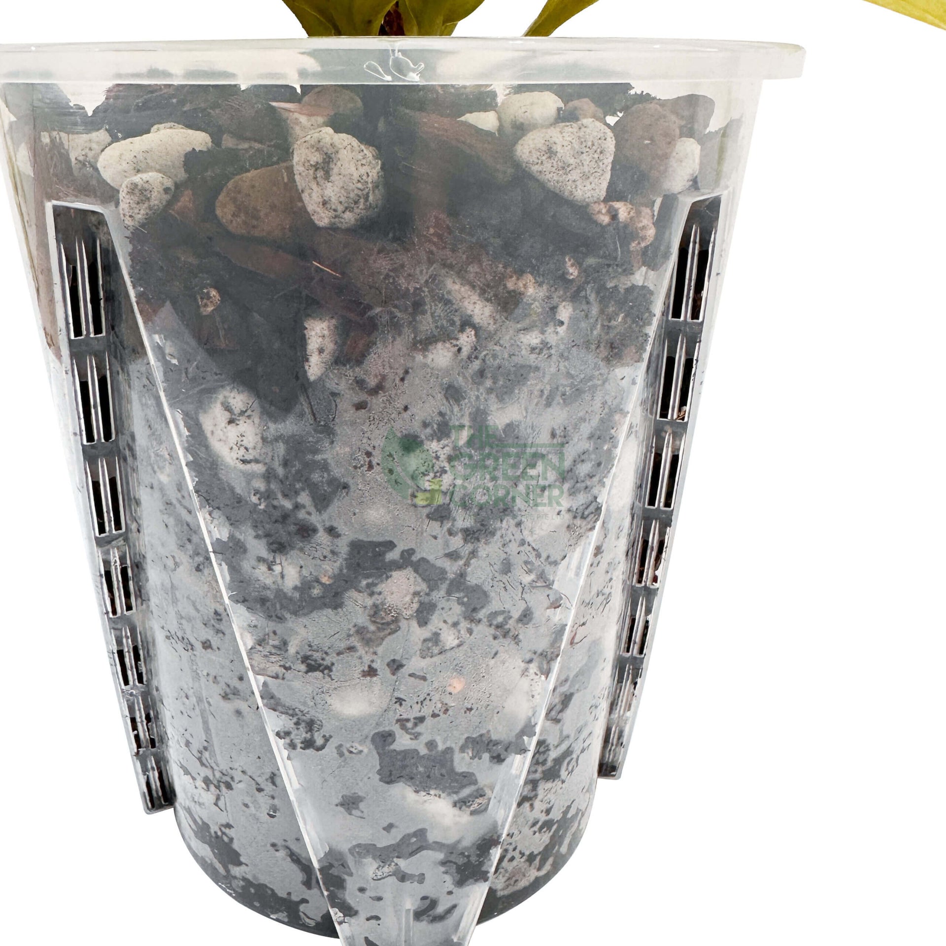 Anti Spiral Transparent Pots
