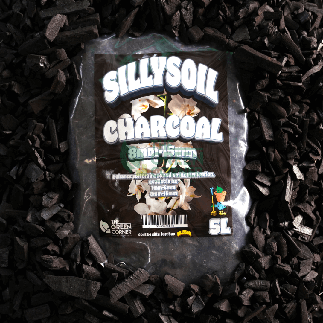 SILLYSOIL Charcoal