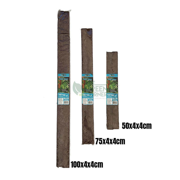 Fernwood New Zealand Tree Fern Totem_ Twin Pack