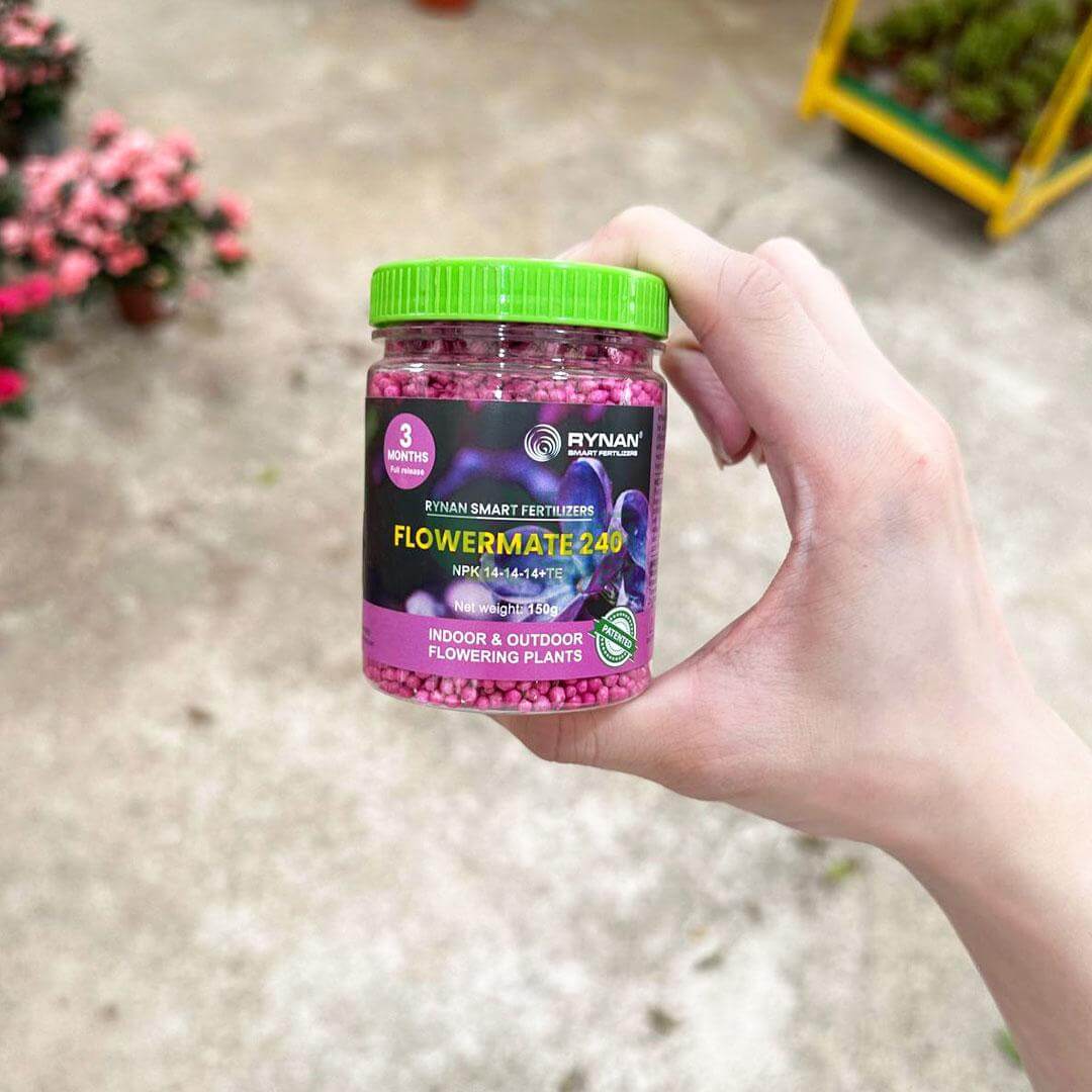 FlowerMate240
