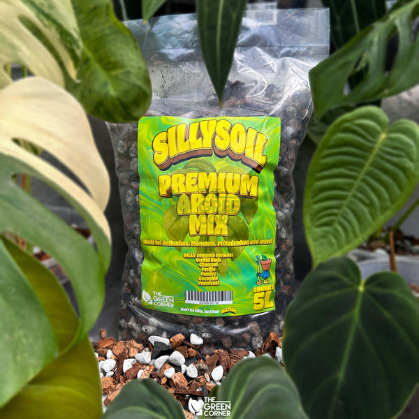 SILLYSOIL Premium Aroid Mix (5L) – The Green Corner