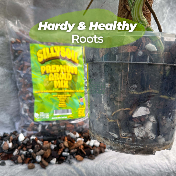 SILLYSOIL Premium Aroid Mix